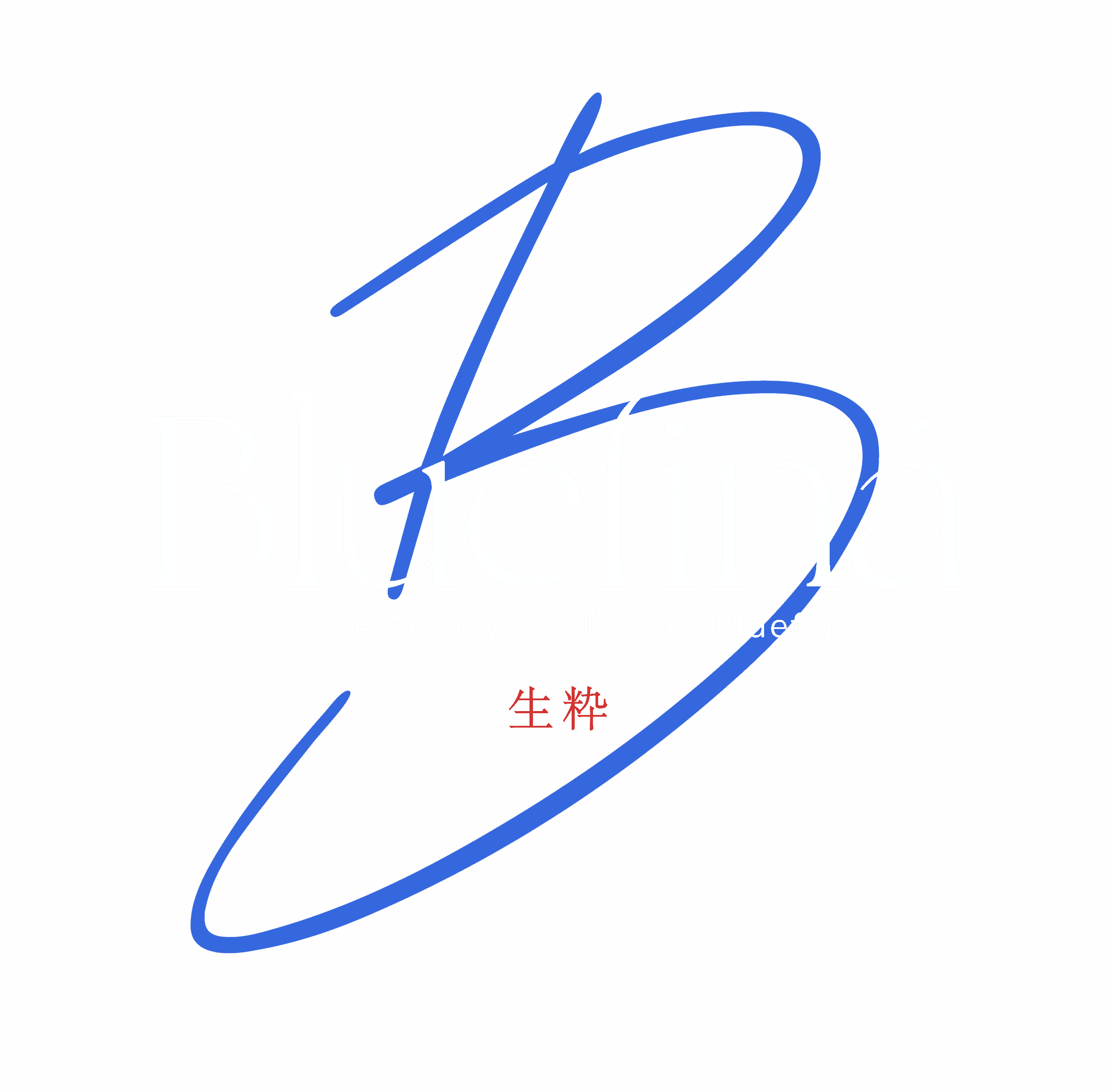 Bluefiná, Inc. logo
